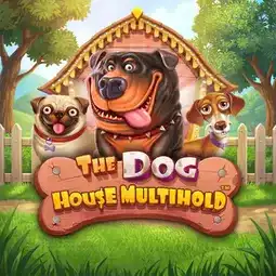 The Dog House Multihold game at Mirax Casino for Australian players
